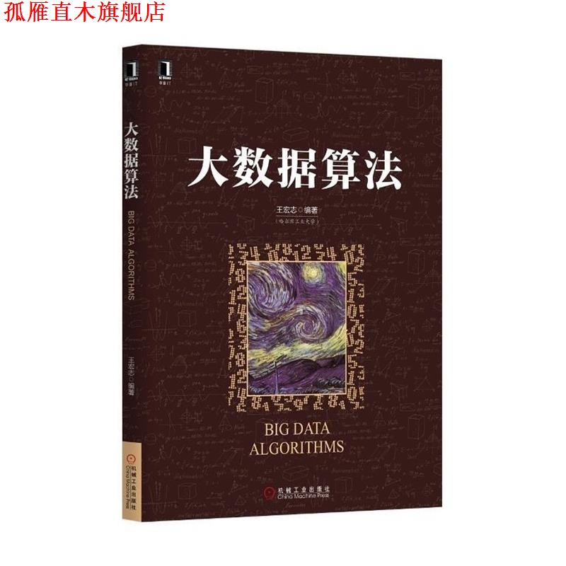 【正版书】 大数据算法 王宏志 著 机械工业出版社
