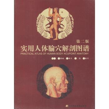 【正版书】 实用人体腧穴解剖图谱 徐国成,韩秋生,刘悦 辽宁科学技术出版社