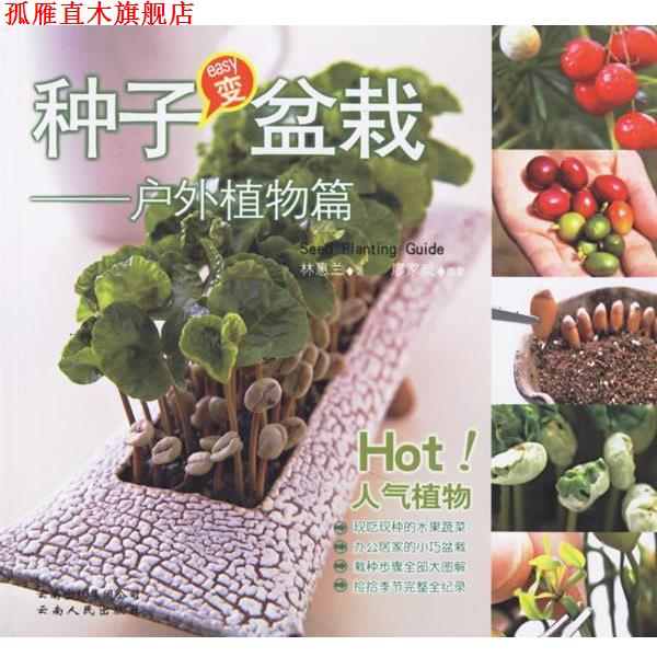 【正版书】 种子变盆栽:户外植物篇 林惠兰 著 云南人民出版社