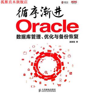 【正版书】 循序渐进Oracle:数据库管理、优化与备份恢复 盖国强 著 人民邮电出版社