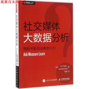【正版书】 媒体大数据分析 理解并影响消费者行为 [美] Lutz Finger芬格尔, Soumitra Dutta杜塔 人民邮电出版社