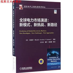 Sioshansi 书 新挑战 新模式 美 Fereidoon 等 萧山西 电力市场演进 菲雷顿 社 机械工业出版 新路径 正版