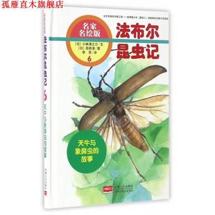 李菲 正版 名家名绘版 法布尔昆虫记 天牛与象鼻虫 译 绘 日 中国人口出版 著 故事 高桥清 书 社 小林清之介