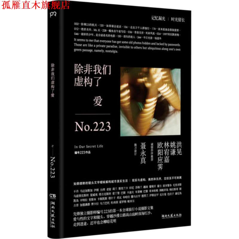 【正版书】 除非我们虚构了爱 编号223 湖南文艺出版社