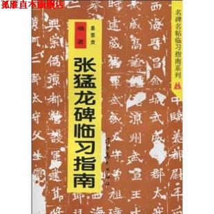【正版书】 张猛龙碑临习指南 姜荣贵 著 辽宁美术出版社