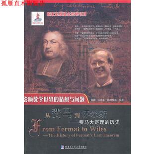 【正版书】 从费马到怀尔斯—费马大定理的历史 佩捷　等编著 哈尔滨工业大学出版社