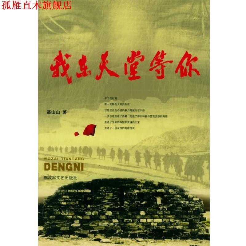【正版书】 我在天堂等你 裘山山 文艺出版社