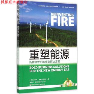 【正版书】 重塑能源 卢安武(美) 湖南科学技术出版社