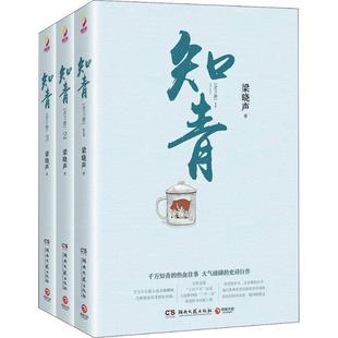 【正版】知青（梁晓声经典文学作品全3册）2 梁晓声