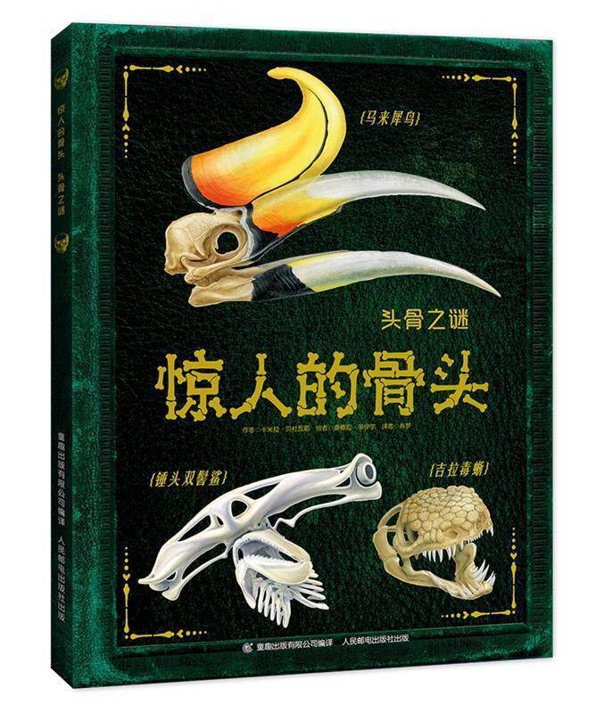 【正版书】 惊人的骨头:头骨之谜 罗布·科尔森 著,童趣出版有限公司 编 人民邮电出版社