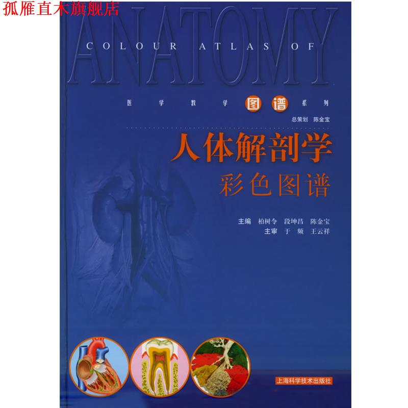 【正版书】 人体解剖学彩色图谱—医学教学图谱系列 柏树令,段坤昌,陈金宝 主编 上海科学技术出版社