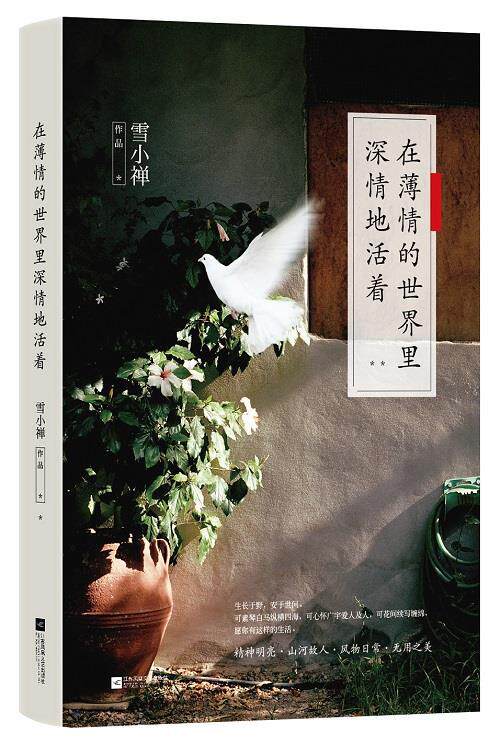 【正版书】 在薄情的世界里深情地活着 雪小禅
