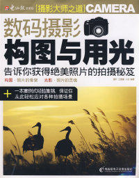 【正版】数码摄影构图与用光(附光盘)