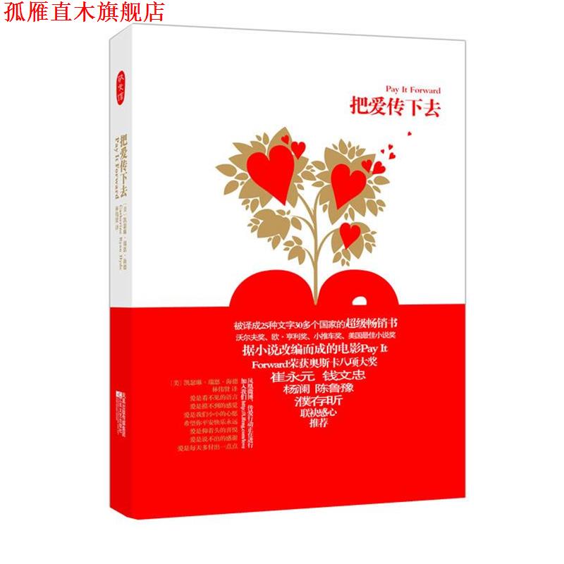 【正版书】 把爱传下去 (美)凯瑟琳·瑞恩·海德 江苏文艺出版社