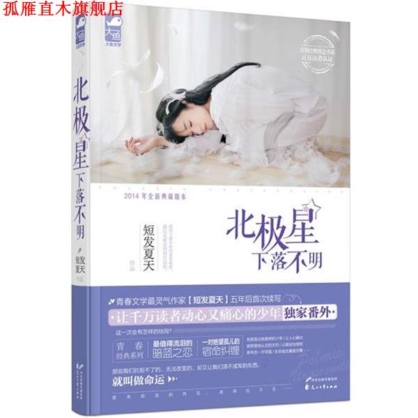 【正版书】 北极星下落不明 短发夏天著 花山文艺出版社