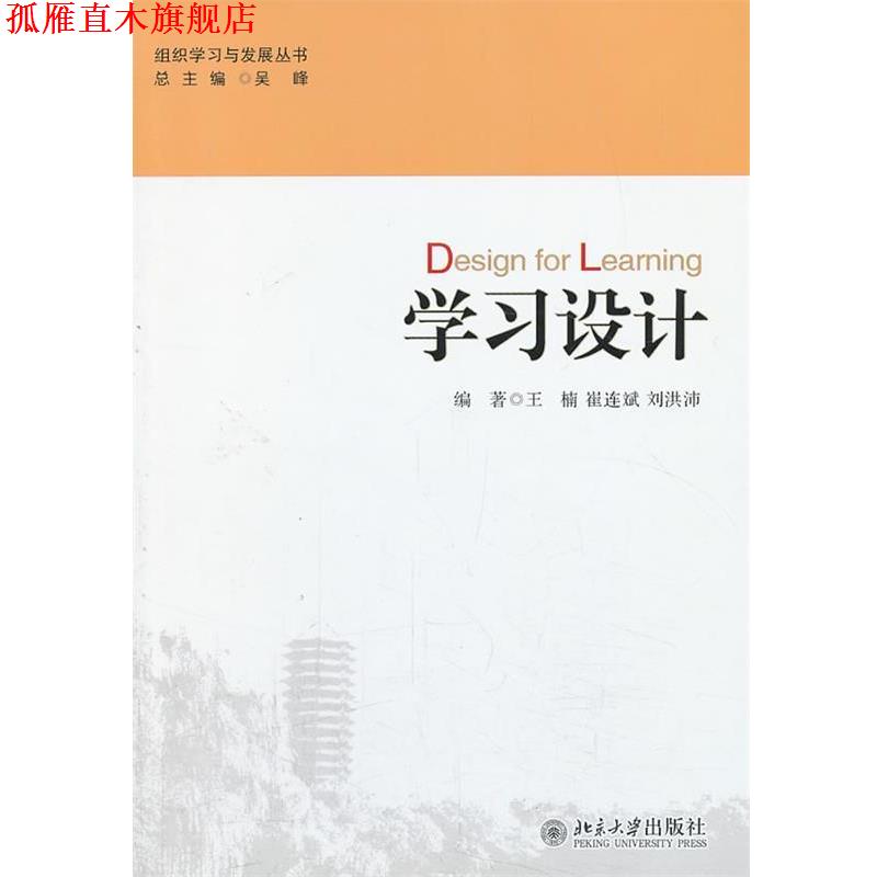 【正版书】 学习设计 王楠,崔连斌,刘洪沛 编著 北京大学出版社