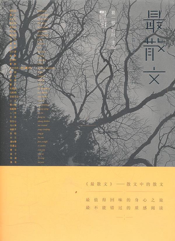 【正版书】散文在纸上飞行 乔叶  葛一敏