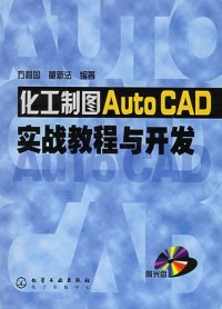 【正版】化工制图AutoCAD实战教程与开发