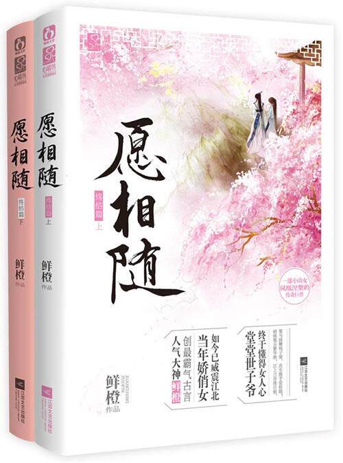 【正版书】 愿相随 鲜橙著