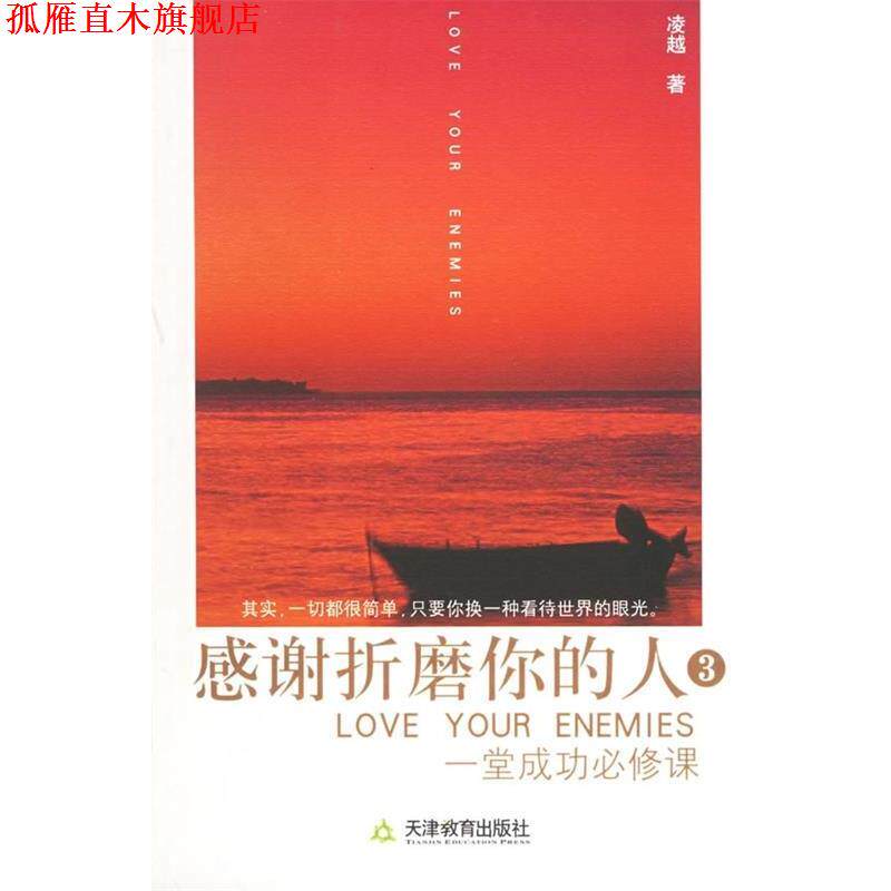 【正版书】 感谢折磨你的人3:一堂成功必修课 凌越 著 天津教育出版社