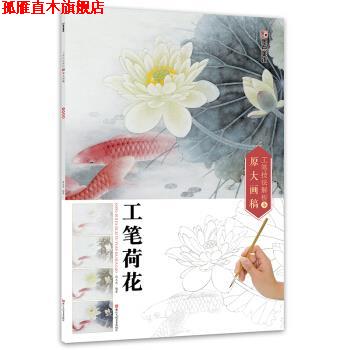 【正版书】 墨点 工笔技法解析与原大画稿 工笔荷花 张玉美 著 浙江人民美术出版社
