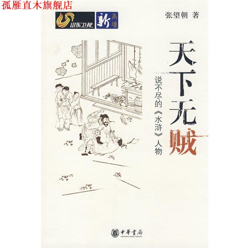 【正版书】 天下无贼说不尽的《水浒》人物 张望朝 著 中华书局