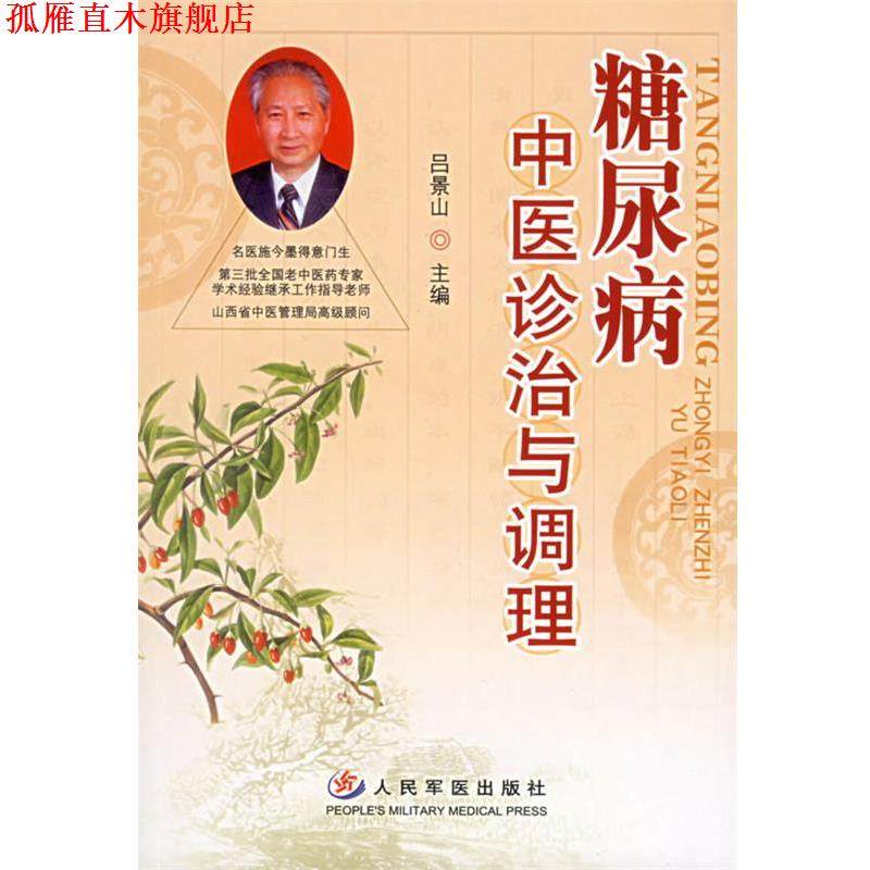 【正版书】 糖尿病中医诊治与调理 吕景山 主编 人民军医出版社
