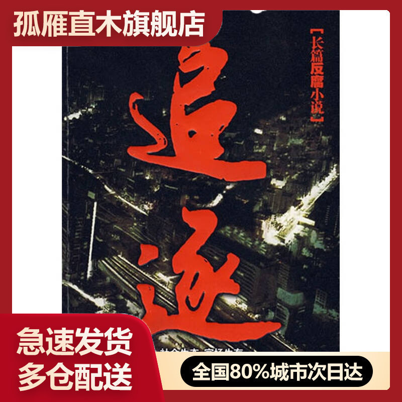 【正版】追逐-跨国追击外逃贪官为力