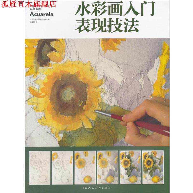 【正版书】 水彩画入门表现技法 西班牙派拉蒙专业团队　著,钱绎菲　译 上海人民美术出版社