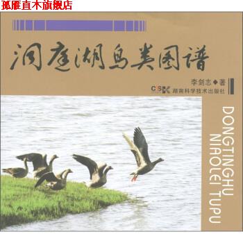 【正版书】 洞庭湖鸟类图谱 李剑志 著 湖南科学技术出版社