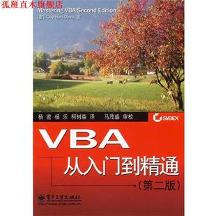 【正版书】 VBA从入门到精通 （美）戴维斯（Davis,G.H.）　著,杨密,杨乐,柯树森　译 电子工业出版社