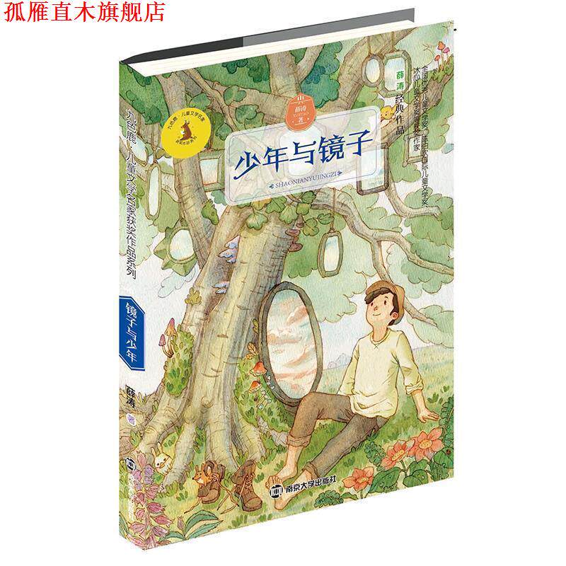 【正版书】 九色鹿 儿童文学名家获奖作品系列 少年与镜子 薛涛 南京大学出版社