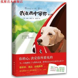 译 社 我在雨中等你 斯坦 著 美 书 青少版 南海出版 刘勇军 正版
