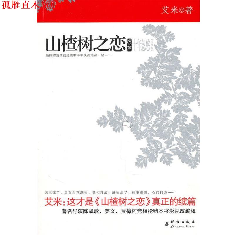 【正版书】 十年忽悠 艾米 著 群言出版社