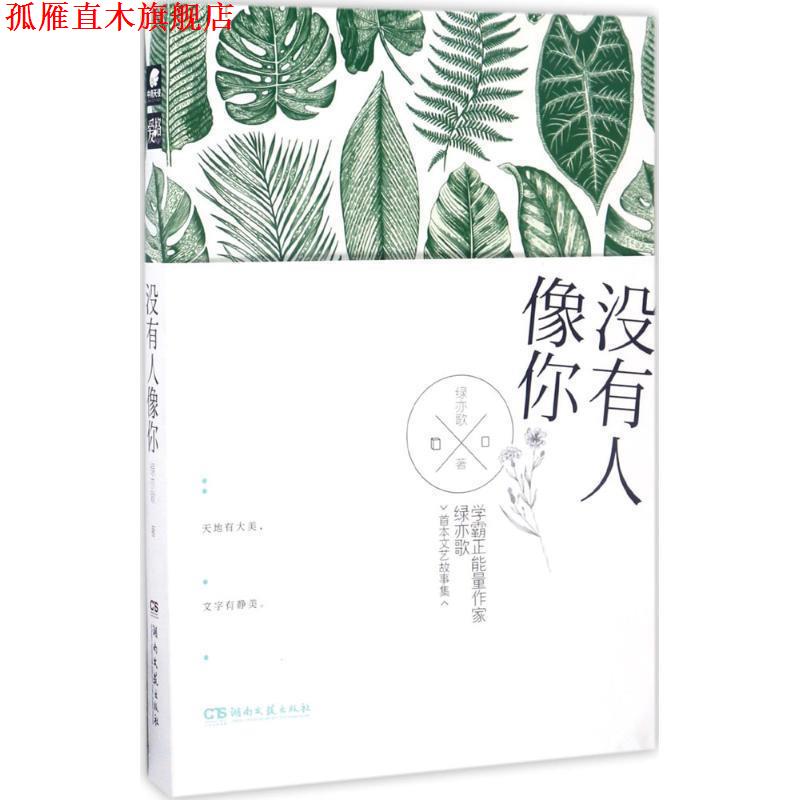 【正版书】 没有人像你 绿亦歌 著 湖南文艺出版社