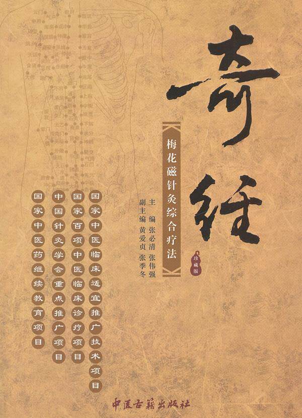 【正版】奇经梅花磁针灸综合疗法 张伟强 张必清