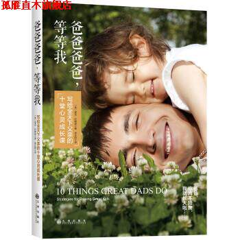 【正版书】 爸爸爸爸，等等我:写给全天下父亲的十堂心灵成长课 [美] 里克·约翰逊 著,徐正阳 译 九州出版社
