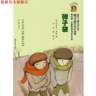 【正版书】 弹子袋 (法)约瑟夫·若福 ,王念,周娅 浙江文艺出版社