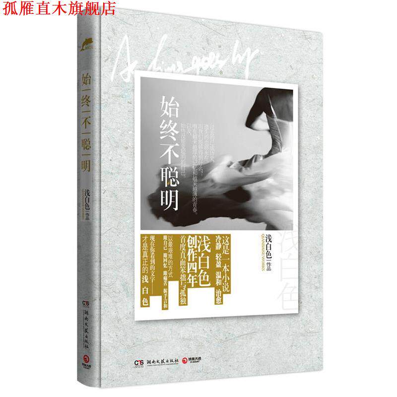 【正版书】 始终不聪明 浅白色 著 湖南文艺出版社