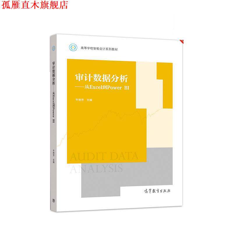 【正版书】 审计数据分析—从Excel到Power BI 牛艳芳 高等教育出版社