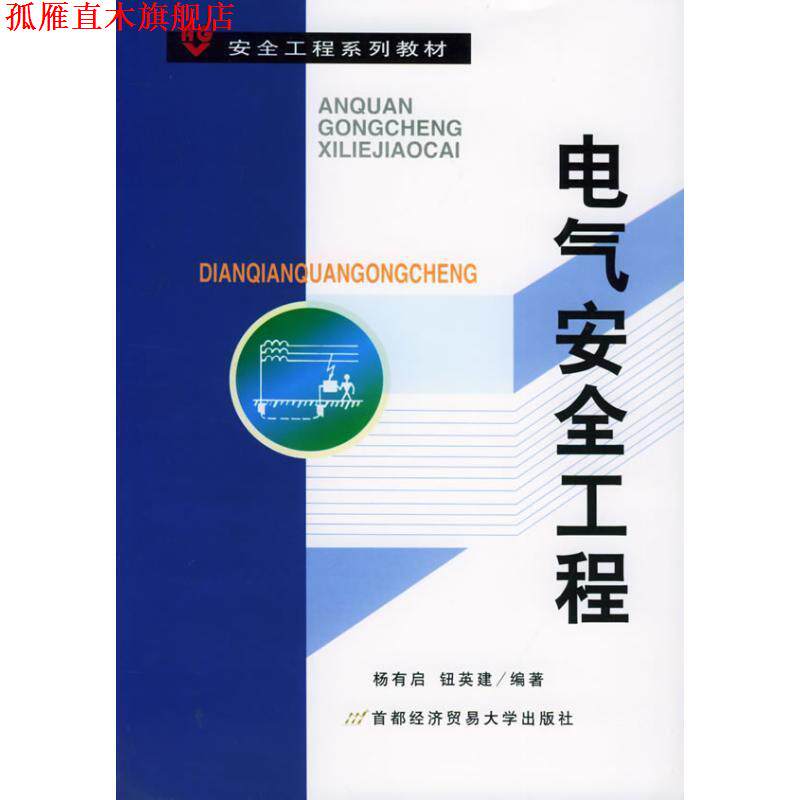 【正版书】 电气安全工程 杨有启,钮英建 编著 首都经济贸易大学出版社