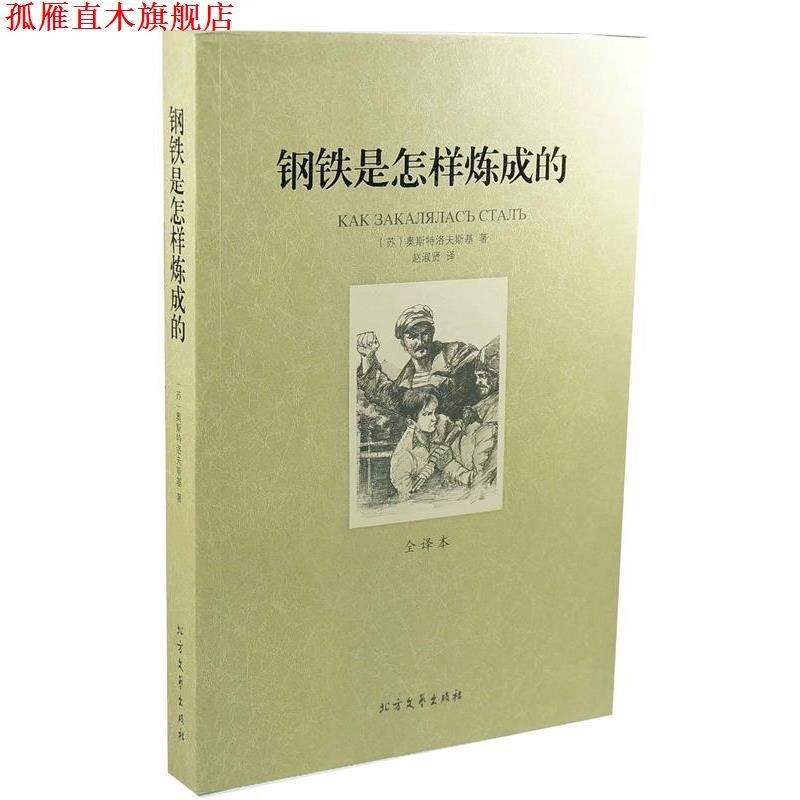 【正版书】 钢铁是怎样炼成的 (苏)奥斯特洛夫斯基　著,赵淑贤　译 北方文艺出版社