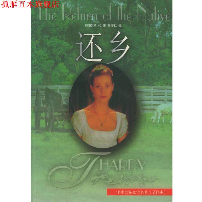 【正版书】 还乡 （英）哈代 著,王守仁 译 译林出版社