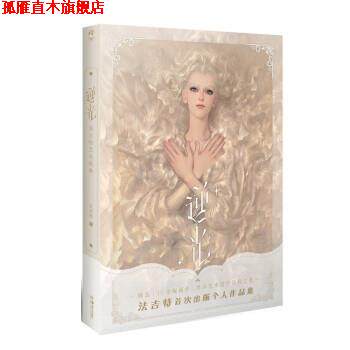 【正版书】 逆光:法吉特艺术画集 法吉特 湖南美术出版社