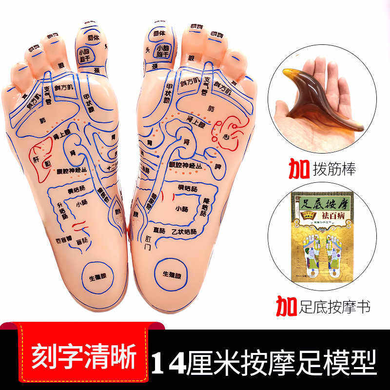 高清脚部反射区穴位按摩足脚模点穴模型刻字版足疗电子美容仪商用