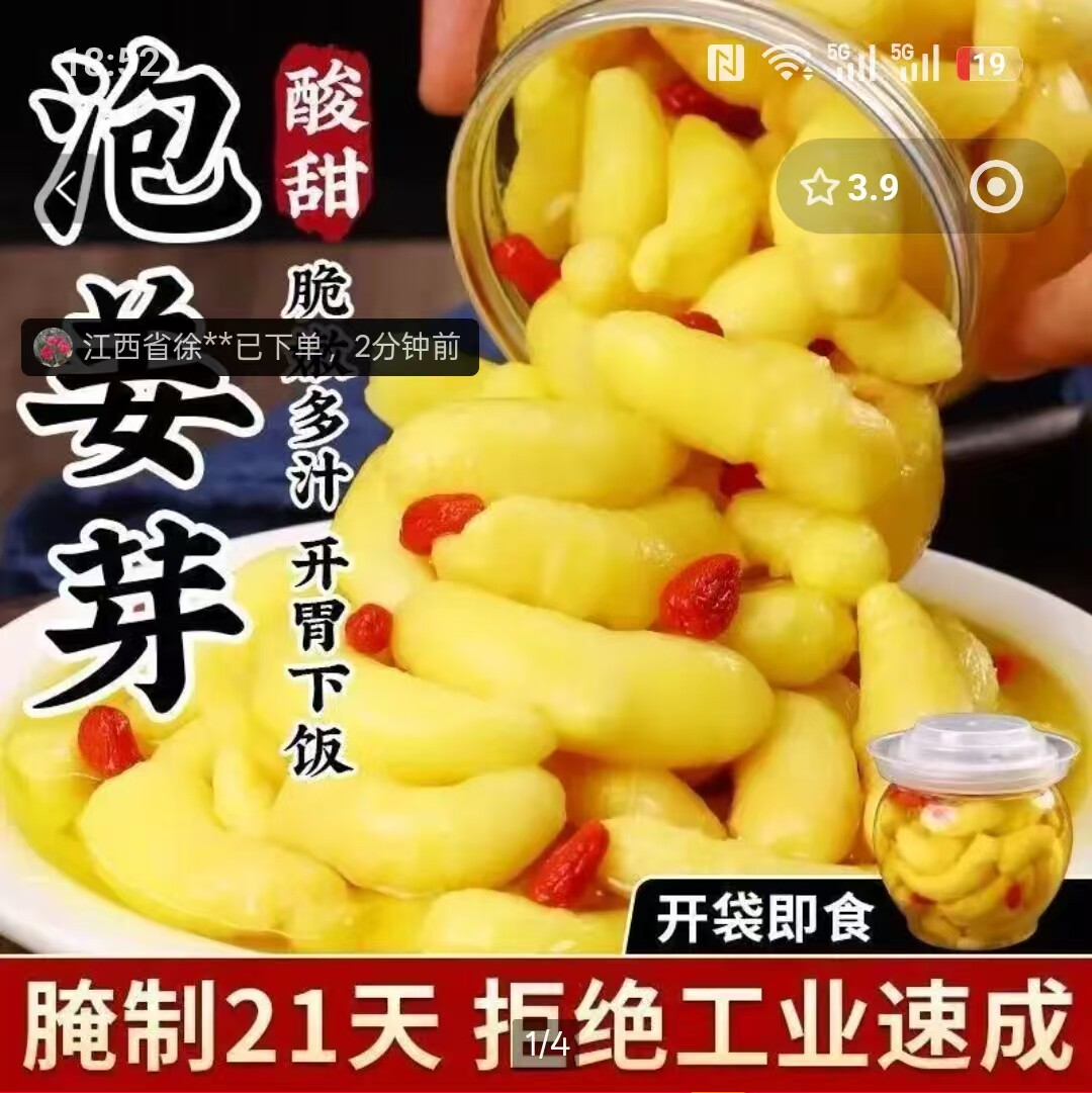 宗迈正宗山东泡姜芽新鲜头茬酸甜脆爽嫩姜芽糖醋生姜片开胃下饭菜