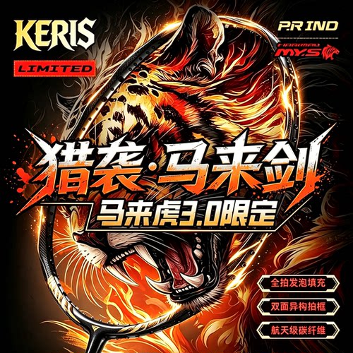 浦锐马来剑全碳素进攻球拍