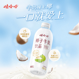 6瓶 娃哈哈椰子牛乳饮品420mL 好物体验专享 非合作达人勿拍