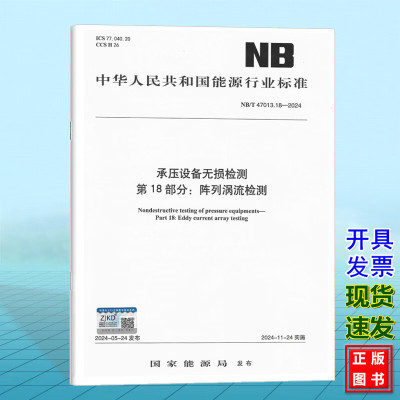 NB/T 47013.18-2024承压设备无损检测 第18部分：阵列涡流检测
