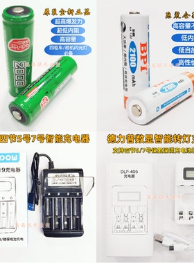 闪光灯四驱车蚊车专用动力格氏2000倍特力2100五号充电电池充电器